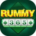 Rummy 365 APK